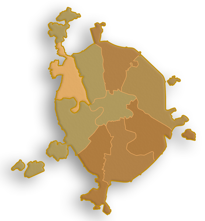 Изготовление стелек с выездом на дом, по Москве и области Выезд по Москве и области
