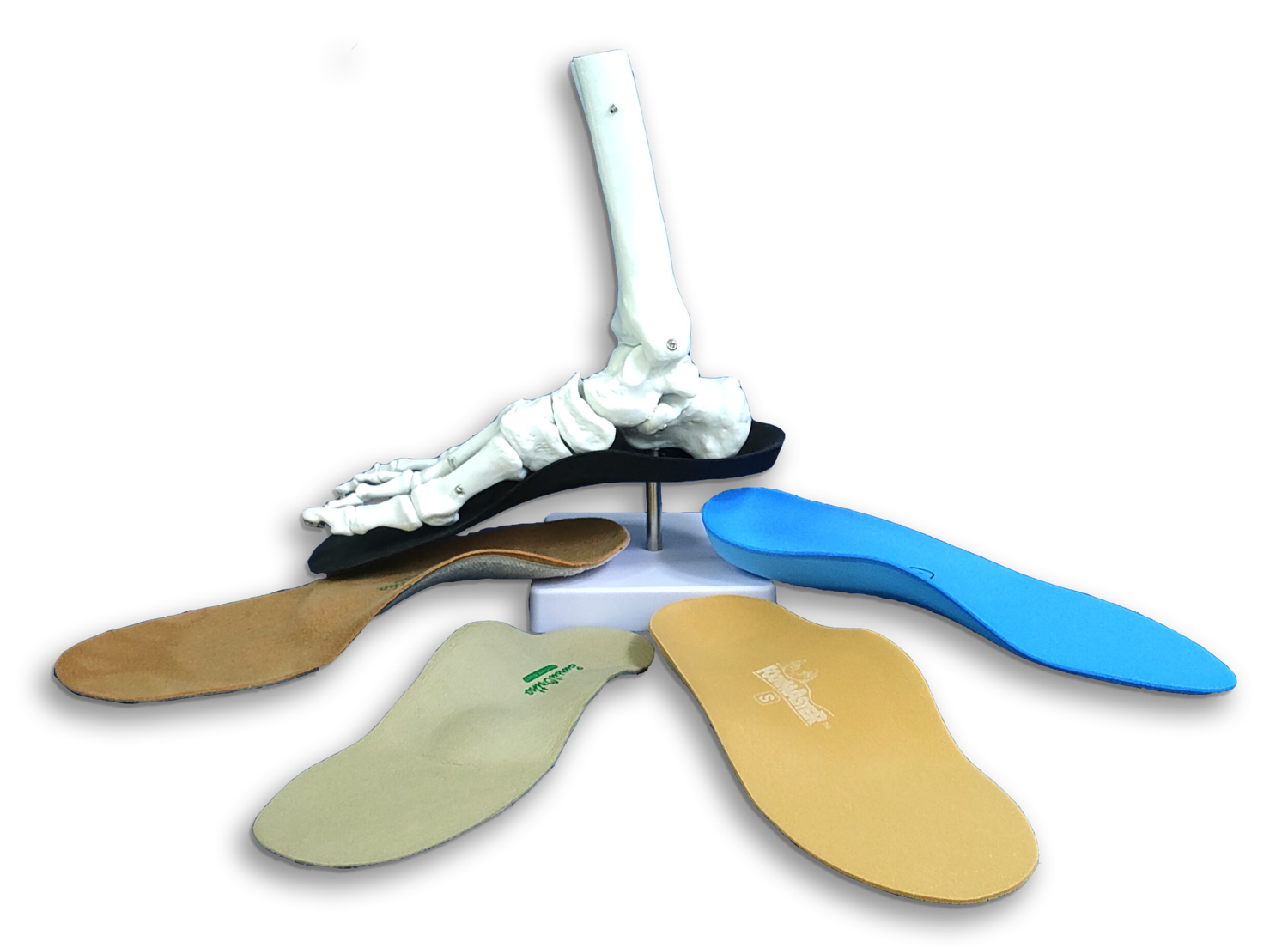 Мы изготавливаем индивидуальные ортопедические стельки: Сурсил-Орто, Футмастер, Формтотикс, Экстемпо Виды ортопедических стелек